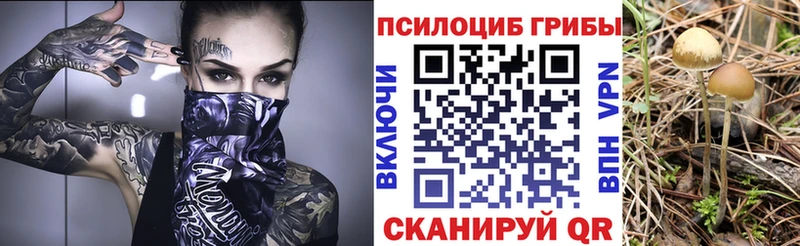 Купить где  Мостовской  Галлюциногенные грибы прущие грибы 